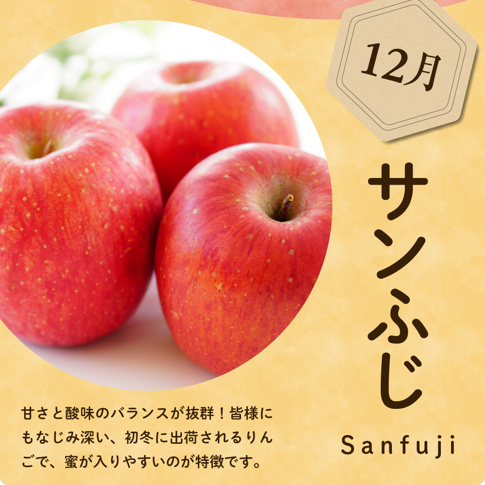 【先行予約】 定期便 令和8年産 りんごの定期便 全4回 4種 × 約2kg 計 約8kg 秋陽 秋映 シナノスイート サンふじ フルーツアドバイザー 厳選 2026年9月下旬頃～ 発送開始予定 山形