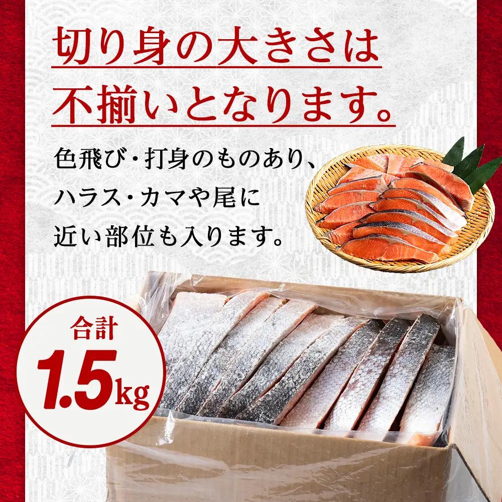 【3ヵ月定期便 】訳あり 塩銀鮭 切り身 1.5kg バラ凍結 職人手切り 北海道知内町加工 三洋食品 冷凍 鮭 お弁当 おかず