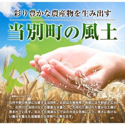 ふるさと納税 当別町 当別町産小麦を使った乾うどん10袋 |  | 01