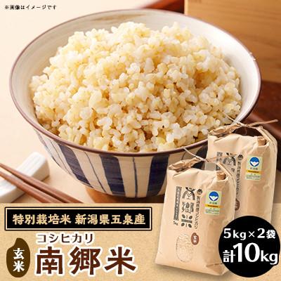 ふるさと納税 五泉市 【毎月定期便】[3回定期便]特別栽培米コシヒカリ「南郷米」玄米10kg(5kg×2袋)全3回