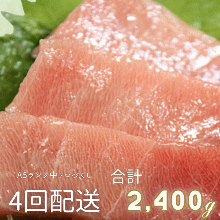 【ふるさと納税】【全4回定期便】 中トロづくし A5ランク 600gを4回配送 定期便 まぐろ 鮪 マグロ 中とろ トロ 天然 本鮪 ミナミマグロ メバチマグロ 刺身 おいしい 新鮮 海鮮 魚 魚介 湊魚問屋 神奈川 三浦市 おすすめ ランキング プレゼント ギフト