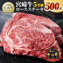 【ふるさと納税】※レビューキャンペーン※5等級！宮崎牛ロースステーキ500g - 肉 牛肉 国産 国産牛 宮崎県産 黒毛和牛 ミヤチク ロース ステーキ 送料無料 E0623