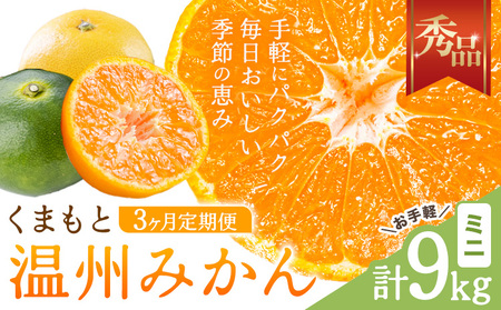 3ヶ月定期便 みかん 計9kg 日本フルーツ株式会社 ミカン