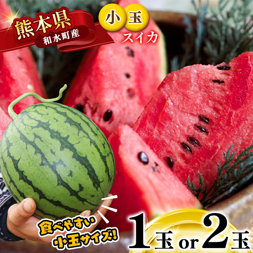 【ふるさと納税】 小玉スイカ 1玉 2玉 すいか 【 2025年（令和7年）4月中旬～6月末頃まで順次出荷 】 西瓜 果物 フルーツ 国産 熊本県 和水町 くまもと 産地直送 甘い 夏のフルーツ 農家直送 石原農園美味 朝摘み 野菜 一大産地 産地直 オススメ