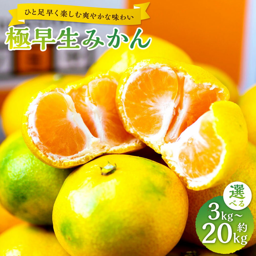 【ふるさと納税】＜選べる内容量＞【ひと足早く楽しむ爽やかな味わい】極早生みかん 約3kg～計約20kg みかん ミカン 蜜柑 柑橘 かんきつ フルーツ くだもの 果物 果実 デザート 【2026年9月下旬～11月上旬発送予定】(1094)(1095)(1096)(1097)(1098)(1099)(1100)(1101)