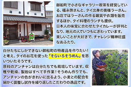 そらいろそうめん濃色3個 福永幸山堂