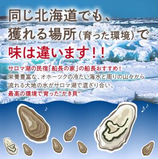 【予約：2024年10月下旬から順次発送】サロマ湖自慢の殻付きカキ貝 2年物 4.5kg詰め ( 牡蠣 かき 濃厚 魚介類 貝類 カキ 牡蠣 北見市 BBQ )【114-0013-2024】