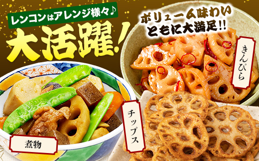 予約受付 佐賀県産 れんこん 約4kg 野菜 やさい レンコン れんこん 蓮根 料理 贈り物 プレゼント 贈答 ギフト 野菜ギフト A-169