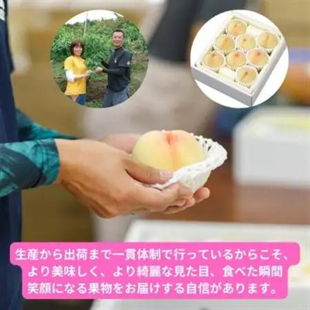 【2027年発送】岡山県産清水白桃　8玉・約2.0kg【配送不可地域：離島】【1614352】