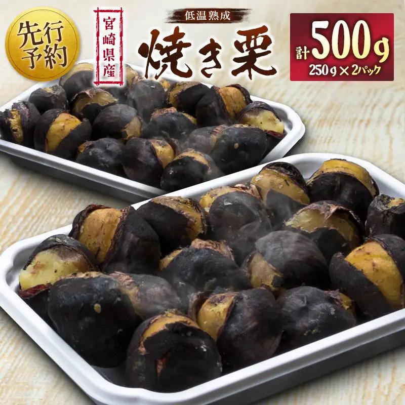 ＜2026出荷!!＞宮崎県産 低温熟成栗［焼き栗］計500g（250g×2パック）おやつ 秋の味覚 お取り寄せ【B617-26】