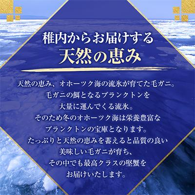 ふるさと納税 稚内市 【稚内産・極】 浜茹で毛ガニ(堅蟹) 570g×1尾 |  | 02