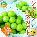 【ふるさと納税】【2025年先行予約】山形県中山町産シャインマスカット 秀品 約1.2kg～約1.3kg(2房) 期間限定 数量限定 山形県産 フルーツ 高級 贅沢 ぶどう ブドウ 葡萄 F4A-0103