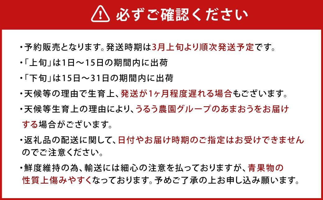 【2回定期便】うるう農園のあまおう サイズ色々6パック