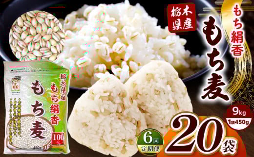 【定期便6回】栃木県産もち麦 9kg(450g×20袋)| もち麦 麦 むぎ 栃木県産 もち 大麦 食物繊維 β-グルカン 糖質 ダイエット 腸内環境 栃木県 真岡市 送料無料
