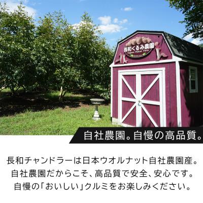 ふるさと納税 長和町 高級くるみ「長和チャンドラー」500g　希少な国産チャンドラー種　信州長和町産　自社農園直送 |  | 03