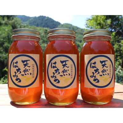 ふるさと納税 道志村 道志村産　天然はちみつ(1000g×3本)