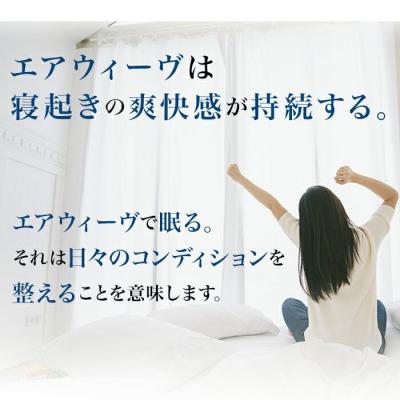 ふるさと納税 大府市 【大府市産お米1kg付】エアウィーヴ ピロー ソフト 枕 まくら 寝具 エアウィーブ |  | 03