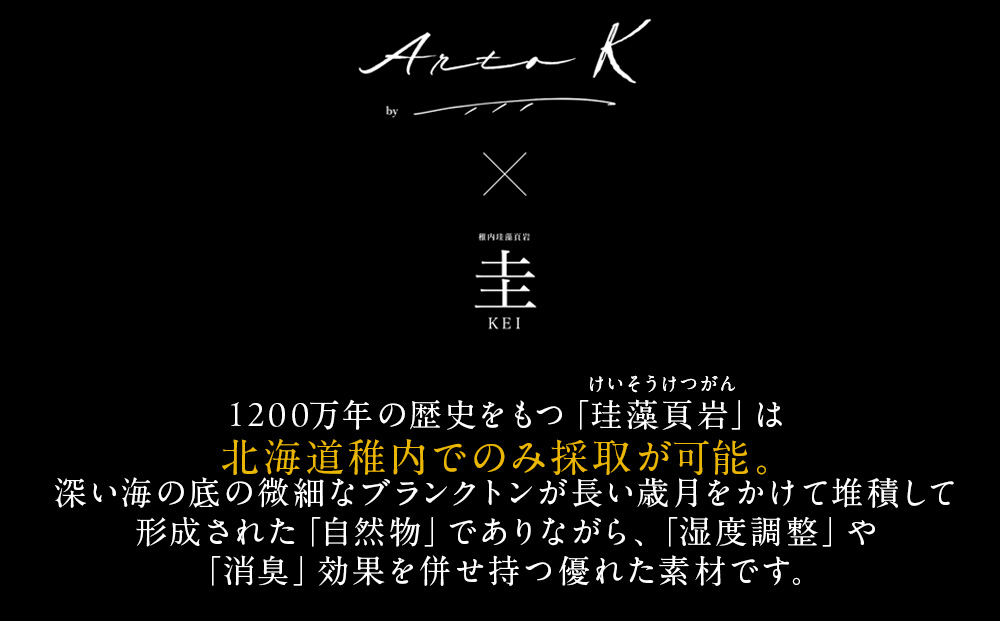 珪藻土コースター A-rto C(アールトシー) LM-CY-10OR×V