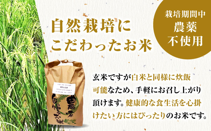 栽培期間中農薬不使用 令和5年産 金のいぶき 玄米 5kg 武雄市/鶴ノ原北川農園 [UDL021]