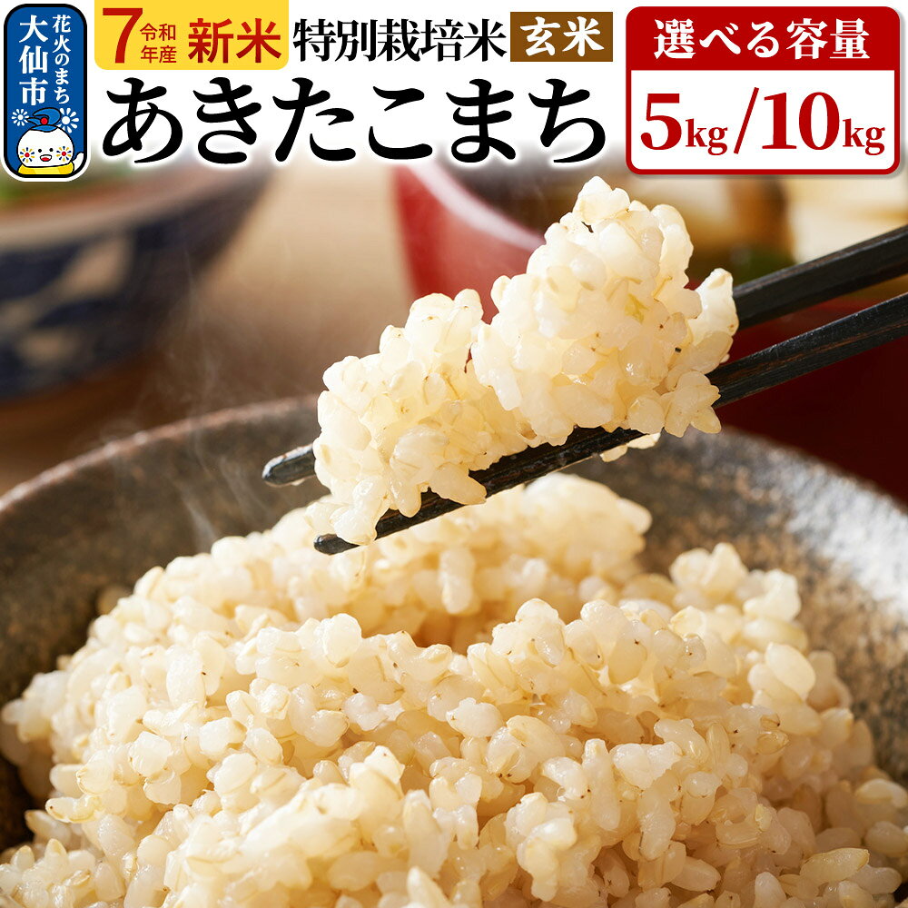 【ふるさと納税】新米 米 令和7年産【特別栽培米】あきたこまち【玄米】選べる容量【5kg／10kg】