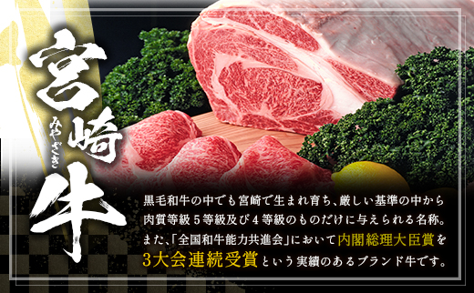 ［10日以内出荷！スピード便！］ 宮崎牛 ウデスライス 500g 牛肉 肉質等級4等級 国産【B531-10D】
