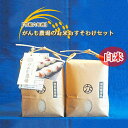 【ふるさと納税】【令和六年産】がんも農場のお米おすそわけセット （白米）2kg×2個【出荷開始：2024年10月～】【ご家族や身近な方へのプレゼント　がんも農場　渡しやすい小さいパッケージ 長野県 佐久市 】