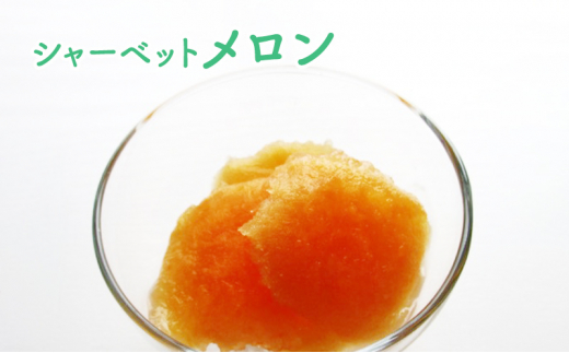 北海道 豊浦町 シャーベット 4種 味くらべ 各5本ずつ（ ブルーベリー、いちご、メロン、りんご ）