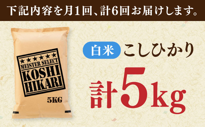 【全6回定期便】令和7年産 こしひかり 白米 5kg / 精米 / 佐賀県 / 大塚米穀店 [41ANAD037]