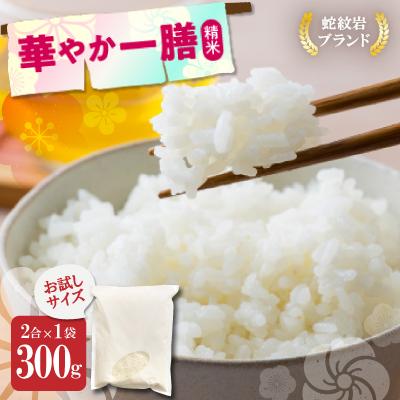 ふるさと納税 養父市 お試し!令和8年産〈先行受付〉9月より順次発送送【蛇紋岩ブランド　華やか一膳】300g(2合×1袋)