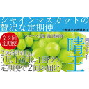 【ふるさと納税】ぶどう 2025年 先行予約 9月・10月発送 シャイン マスカット 晴王 2房（合計約1kg）×2回 ブドウ 葡萄 岡山県産 国産 フルーツ 果物 ギフト