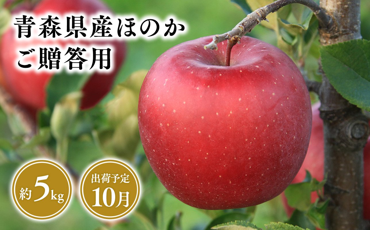 
１０月発送　贈答用ほのか5ｋｇ　【そと川りんご園・１０月・青森県産・平川市・りんご・ほのか・5ｋｇ・贈答用】
