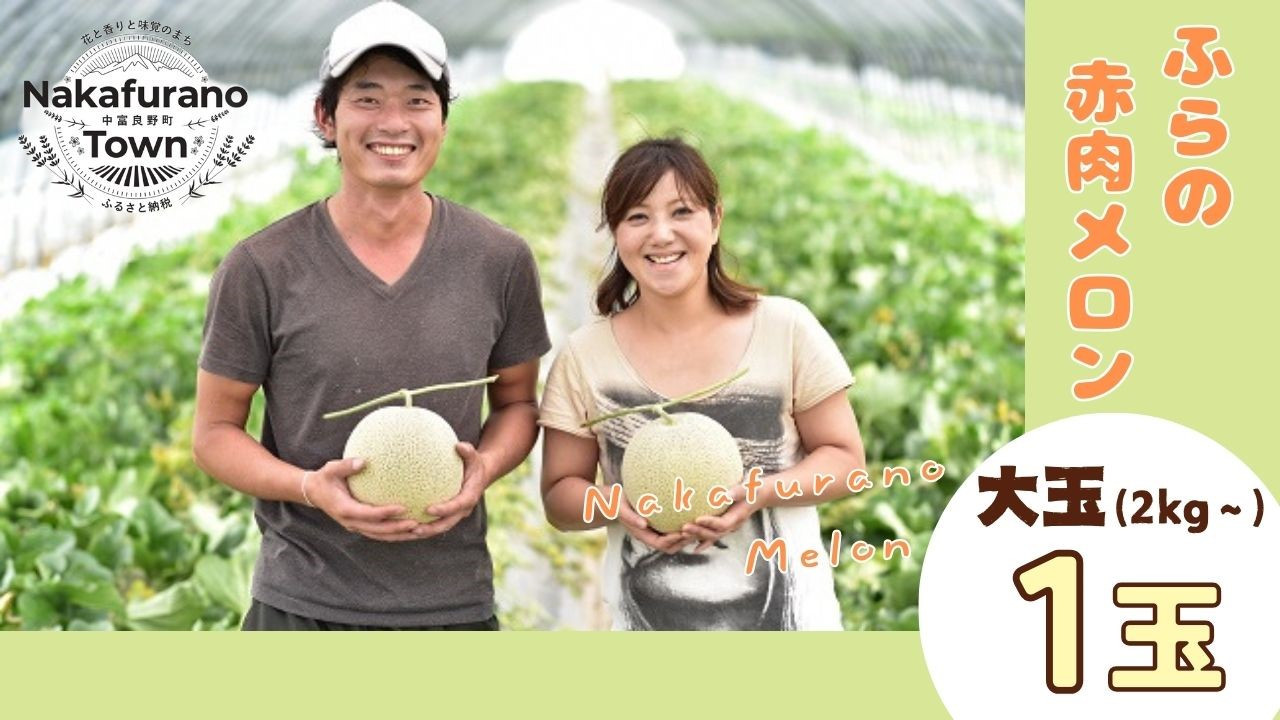 
            【2026年発送】ふらのメロン(赤肉)大玉 1玉（2㎏～）
          