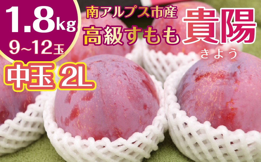 
                  ＜2026年発送★先行予約＞南アルプス市産　貴陽　中玉（2Lサイズ）　約1.8ｋｇ　9玉～12玉 ALPGN001
                