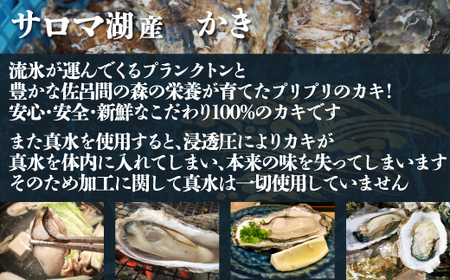 【先行予約】【10月中旬から順次発送】カキ 殻付き2年貝 約2.5kg・むき身1年貝 400g セット 佐呂間産 ［4回定期便］ SRMA011
