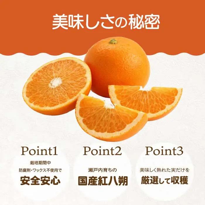 紅八朔 5kg 《2027年2～3月発送予定》栽培期間中 防腐剤 ワックス 不使用 おくはち農園 旬 柑橘 かんきつ はっさく フルーツ 果物 瀬戸内 166029 