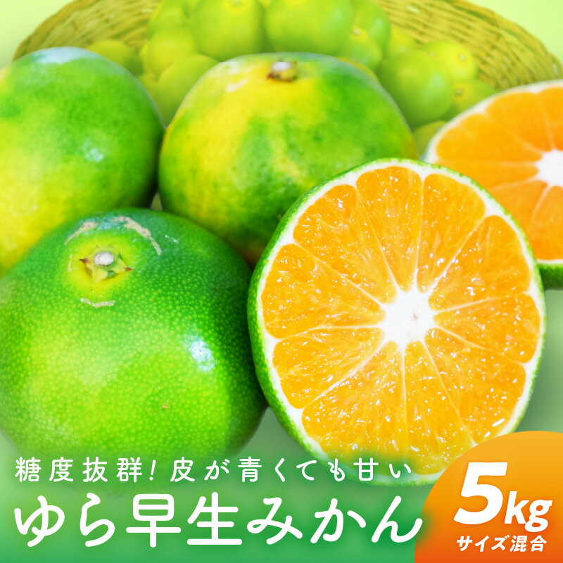 【ふるさと納税】糖度抜群！ゆら早生（みかん）5kg《先行予約》