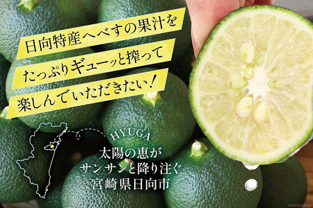 【期間限定発送】 黒木へべすファーム自慢の《露地》 へべす 2kg [黒木へべすファーム 宮崎県 日向市 452060742]