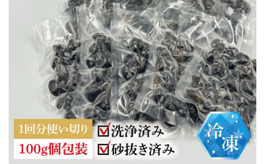 涸沼産 冷凍しじみ 中粒１kg（100g×10p）（シジミ 中粒しじみ 直接仕入れ 砂抜き済み 砂抜き 小分け包装 味噌汁 みそ汁 茨城県】（CA-2）