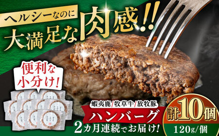 【全2回定期便】【蝦夷鹿×牧草牛×放牧豚】ハンバーグ 10個【GOODGOOD株式会社】 ハンバーグ 鹿肉 牛肉 豚肉 小分け 冷凍配送 北海道 [AXBP030]