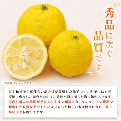 ふるさと納税 西予市 <柚子 優 Lサイズ 54個(18個入り×3箱)> 約6kg 6000g ゆず 国産 果物 フルーツ |  | 01