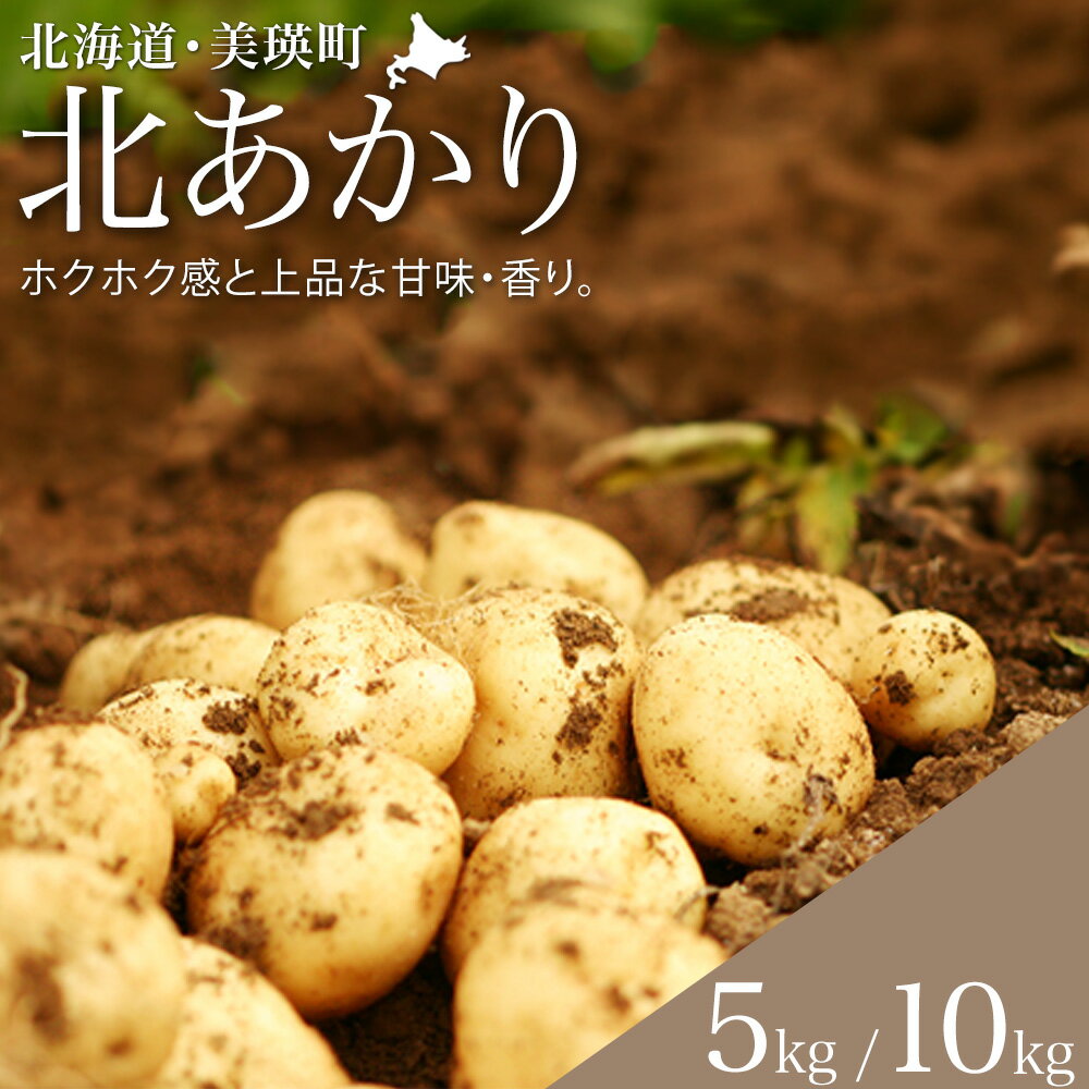 【ふるさと納税】【先行予約】じゃがいも（北あかり）5kg 10kg ≪令和7年産≫黒木農場 | 人気 おすすめ ランキング いも 芋 イモ じゃがいも ジャガイモ 北あかり きたあかり キタアカリ 北海道 野菜　[006-24]