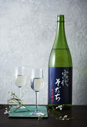 【ふるさと納税】純米吟醸宮代そだち