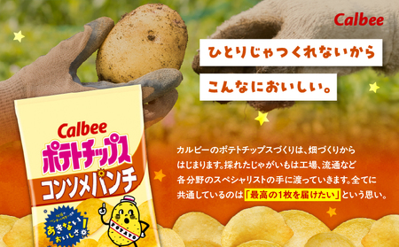 【 期間限定 特別価格 】 カルビー ポテトチップス 【 コンソメパンチ 】 12袋 K194-002_05 ポテチ チップス 菓子 お菓子 スナック スナック菓子 おやつ おかし じゃがいも コンソ