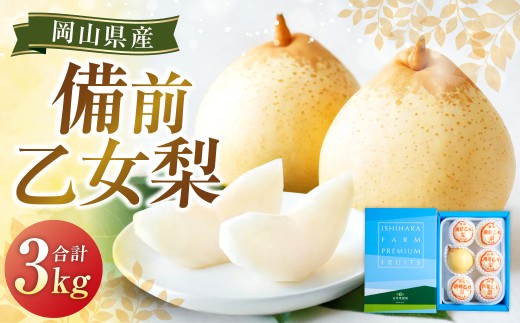 備前乙女梨 5～6玉 合計約3kg 梨 ナシ なし 鴨梨 ヤーリー 【2026年11月下旬～12月下旬発送予定】