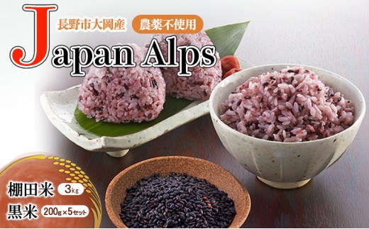 
                  長野市大岡産農薬不使用Japan Alps棚田米3kg＆黒米200g×5セット
                