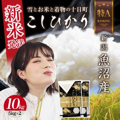 ふるさと納税 十日町市 【令和8年産 新米】 新潟県 魚沼産 コシヒカリ 10kg (お米の美味しい炊き方ガイド付き)
