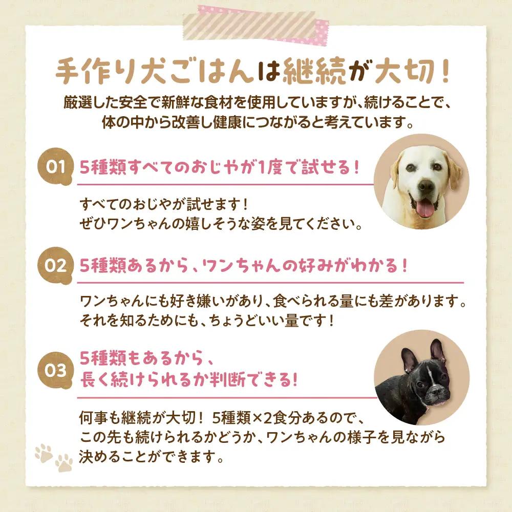 ワンちゃん用おじや5日間セット【各100g×2袋(計10袋)】