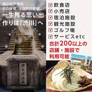 渋川市ふるさと感謝券 3,000円分（1000円×3枚） 伊香保温泉 うどん 宿泊 旅行 観光 ホテル 旅館 トラベル 飲食 お土産 F4H-0058