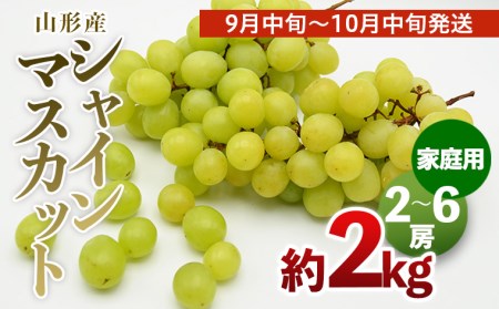 【ご家庭用】山形のシャインマスカット 優品 約2kg(2～6房)[9月中旬～10月中旬発送] 【令和7年産先行予約】FS24-578くだもの 果物 フルーツ 山形 山形県 山形市 2025年産