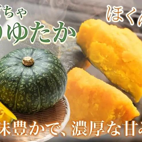 【ふるなびWEEK対象】くりゆたか かぼちゃ 10kg 6～8玉 カボチャ 南瓜 野菜 秋 ホクホク 甘い 味覚 北海道 美深町 北はるか農業協同組合 
